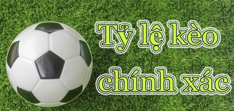 Trang tỷ lệ kèo Bongdalu cung cấp cho người chơi những thông tin hữu ích